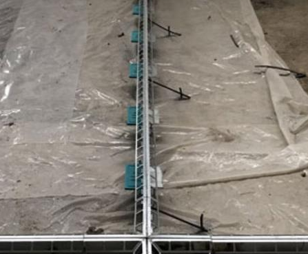 1626858711463867.png image.png